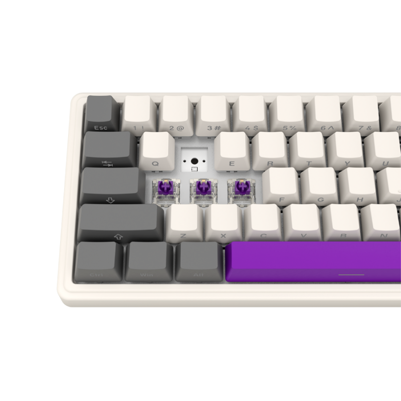 LORGAR KBP70MW, Wireless 65% Mechanical Gaming Keyboard Pro, Beige, EN layout, LRG-KBP70MW-RT-US