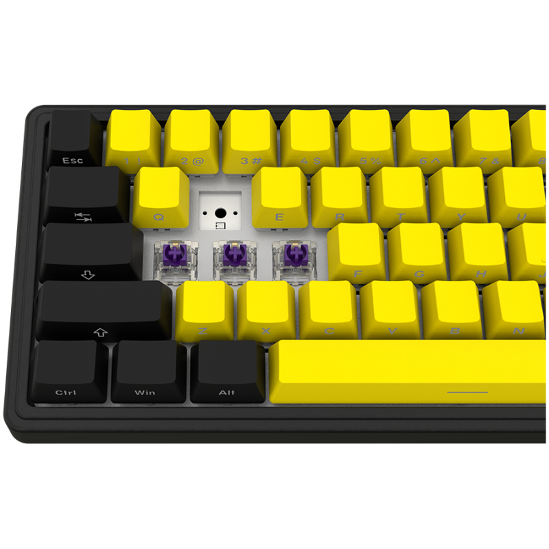LORGAR KBP70MW, Wireless 65% Mechanical Gaming Keyboard Pro, Black/yellow, EN layout, LRG-KBP70MW-YL-US