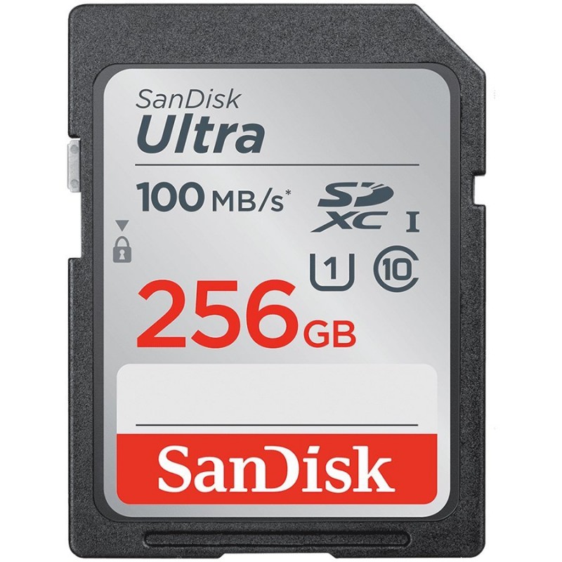 SANDISK Ultra 256GB SDHC Memory Card 100MB/s, Class 10 UHS-I-SDSDUNR-256G-GN3IN