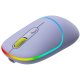 CANYON MW-22, 2 in 1 Wireless optical mouse with 4 buttons, DPI 800/1200/1600, 2 mode(BT/ 2.4GHz), 650mAh Li-poly battery, RGB backlight