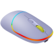 CANYON MW-22, 2 in 1 Wireless optical mouse with 4 buttons, DPI 800/1200/1600, 2 mode(BT/ 2.4GHz), 650mAh Li-poly battery, RGB backlight