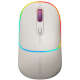 CANYON MW-22, 2 in 1 Wireless optical mouse with 4 buttons, DPI 800/1200/1600, 2 mode(BT/ 2.4GHz), 650mAh Li-poly battery, RGB backlight