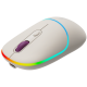 CANYON MW-22, 2 in 1 Wireless optical mouse with 4 buttons, DPI 800/1200/1600, 2 mode(BT/ 2.4GHz), 650mAh Li-poly battery, RGB backlight