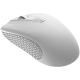 CANYON MW-7, 2.4Ghz wireless mouse, 6 buttons, DPI 800/1200/1600, with 1 AA battery ,size 110*60*37mm,58g,white, CNE-CMSW07W