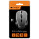 CANYON 2.4GHz wireless optical mouse with 4 buttons, DPI 800/1200/1600, Gray, 103.5*69.5*35mm, 0.06kg-CNE-CMSW1G