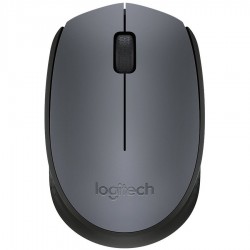 LOGITECH Wireless Mouse M170 - EMEA -  GREY
