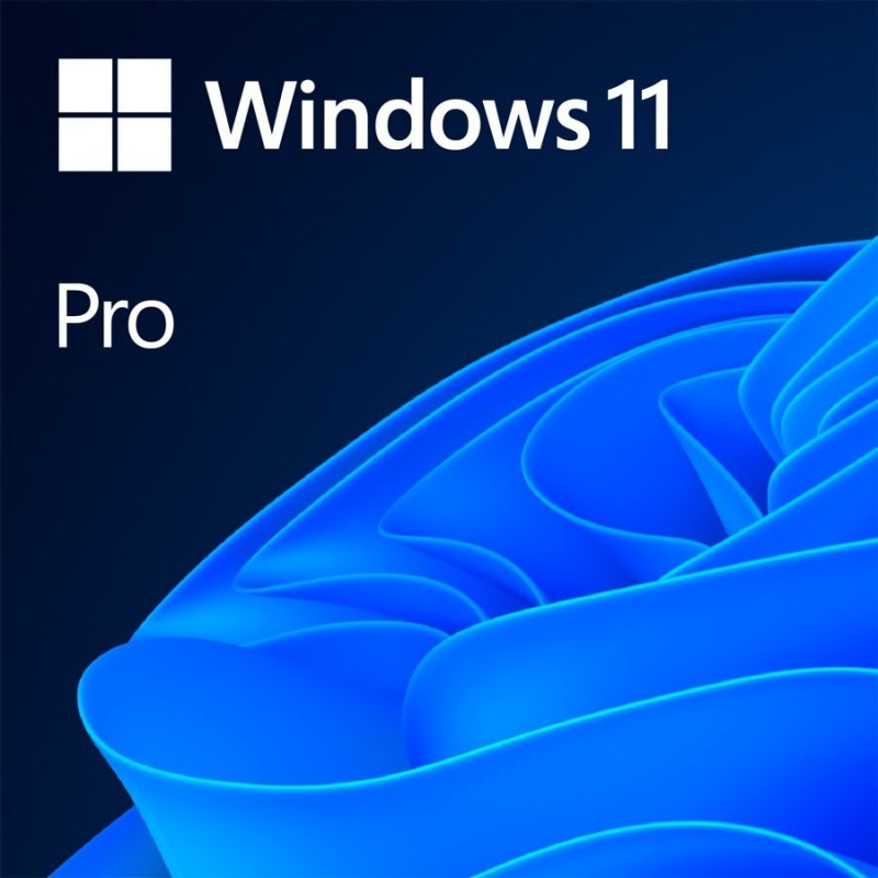 Win 11 Pro 64Bit Bulgarian 1pk DSP OEI DVD, FQC-10521