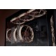 Noctua Вентилатор Fan 120mm NF-A12x25 G2 PWM, NF-A12x25-G2-PWM