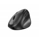 Genius вертикална безжична мишка Vertical Mouse wireless Ergo 8350S - Silent, AI, Bluetooth, 2.4G, Dark Grey