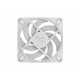 FD MOMENTUM 12 WHITE