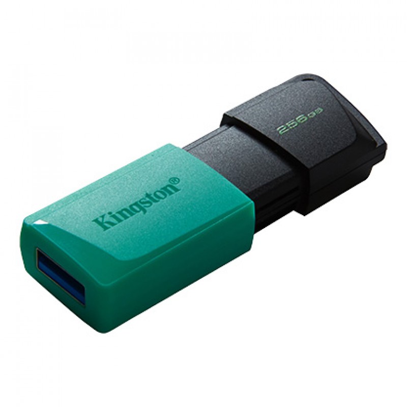 256GB USB3.2 DTXM KINGSTON, DTXM/256GB / DTXM/256GB