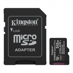512G SDMIC KING CANV SEL+A1