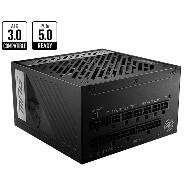 PSU MSI MPG A1000G PCIE5, MSI MPG A1000G PCIE5 / 306-7ZP7C11-CE