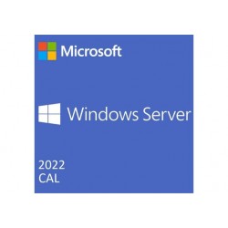 Dell Software, Microsoft WS 2022 1RDS Device