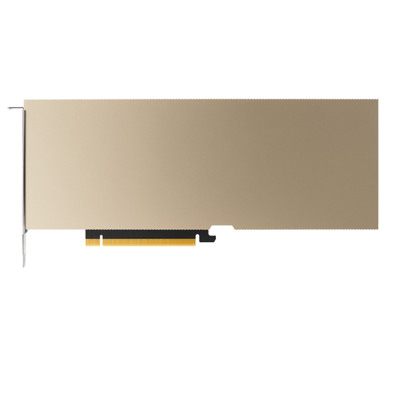 PNY NVIDIA A10 Module 24GB, TCSA10MCEC-PB