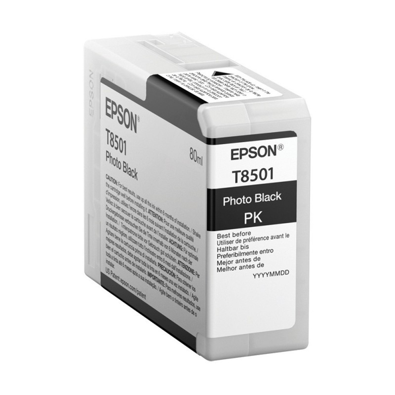 Epson Singlepack Photo Black T850100, C13T850100