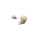 Sony LinkBuds S WF-LS900N, taupe, WFLS900NC.CE7