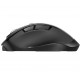 TRUST Fyda Wireless Ergonomic Rechargeable Mouse, 23804