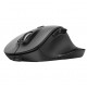 TRUST Fyda Wireless Ergonomic Rechargeable Mouse, 23804