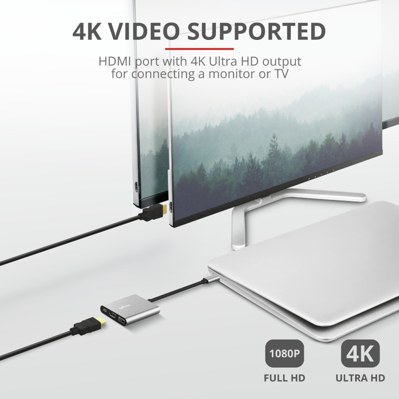 TRUST Dalyx 3-IN-1 USB-C Adapter, 23772