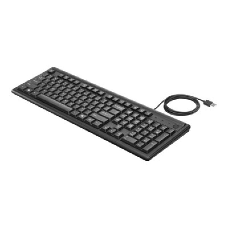 HP Keyboard 100-2UN30AA