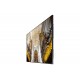 Samsung LFD QB98R , 98" professional display , 4k UHD 3840x2160 (16:9) 24/7, Contrast: 4000:1, Viewing Angle: 178/178, Brightness: 350 cd/m2, Video: 2xHDMI, DVI-D, HDCP2.2, 2xUSB, Audio: Stereo Mini Jack-LH98QBREBGCXEN