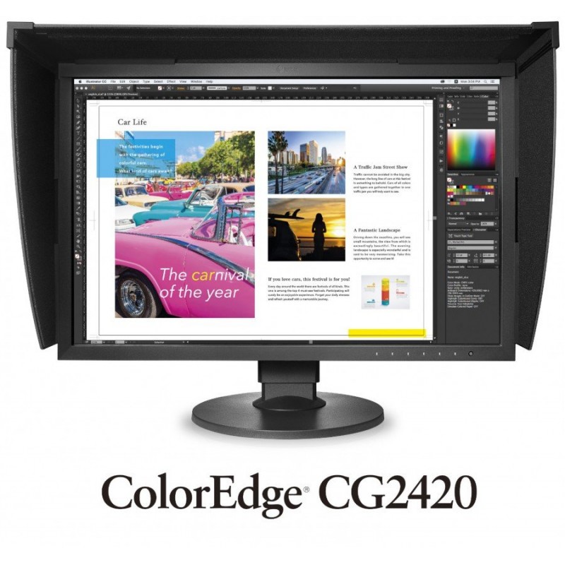 Монитор EIZO CG2420-12439