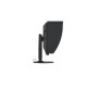 Монитор EIZO CG2420-12439
