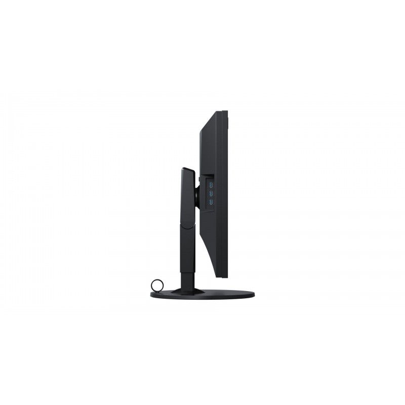 Монитор EIZO CG319X-13929