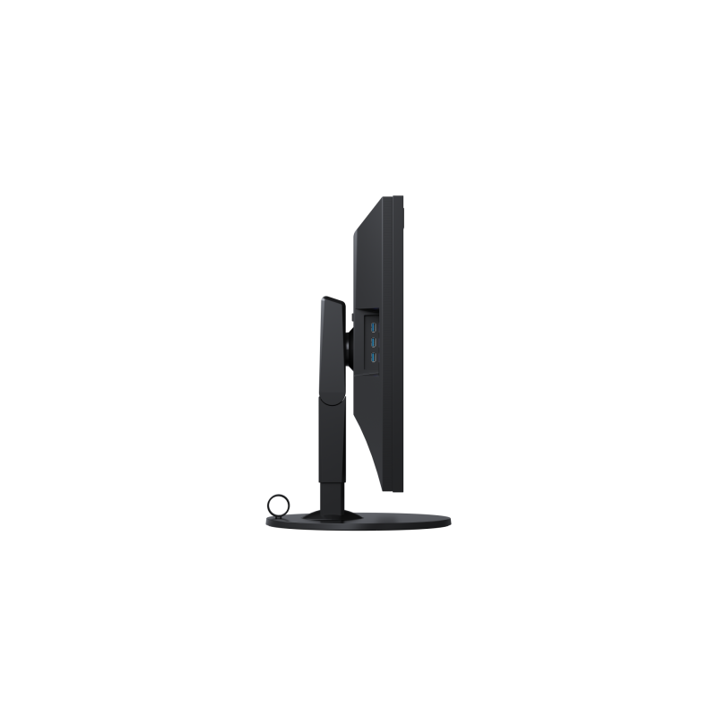 Монитор EIZO CG319X-13929