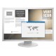 Монитор EIZO EV2430-GY-13931