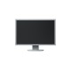 Монитор EIZO EV2430-GY-13931
