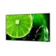 Широкоформатен дисплей NEC MultiSync E498, 49", UHD, 400cd/m2, Direct LED backlight, 16/7 proof, Media Player