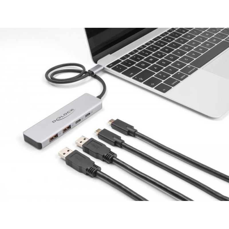 USB хъб Delock 64230, USB-C - 2 x USB-C, 2 x USB-A, 10 Gbps, DELOCK-64230