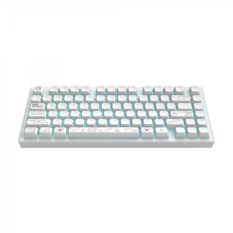 Геймърскa безжична клавиатура Dark Project ALU81A Terra Nova R2 White RGB