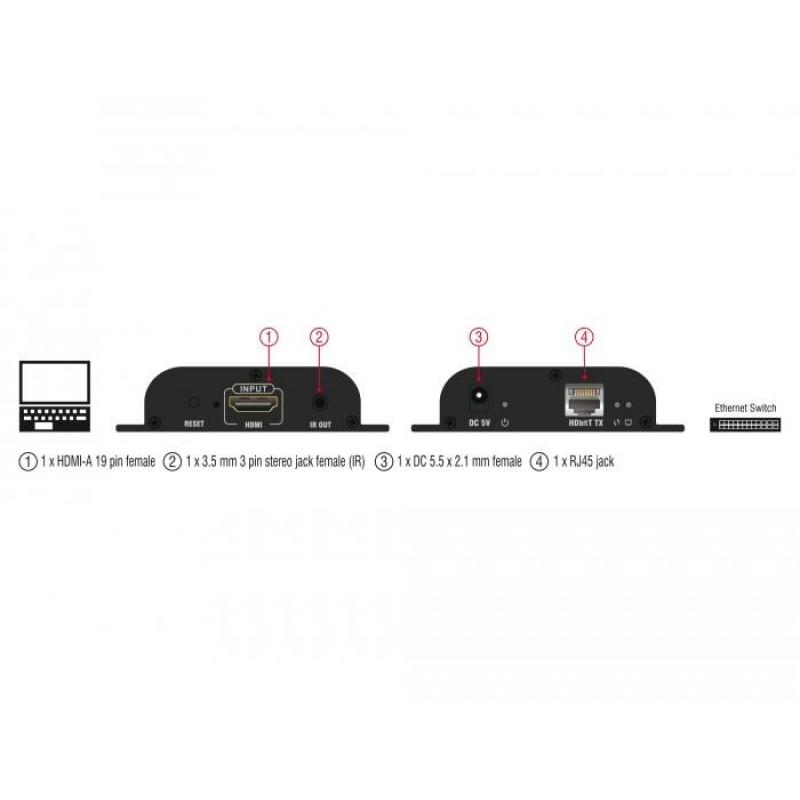 HDMI трансмитер DeLock, Прeдава видео по IP, DELOCK-65950