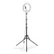HAMA LED Лампа "SpotLight Steady 120 III"