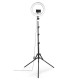 HAMA LED Лампа "SpotLight Steady 120 III"