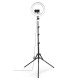 HAMA LED Лампа "SpotLight Steady 120 III"
