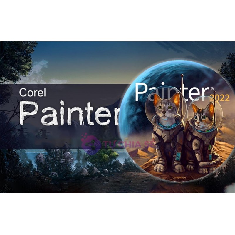 Софтуер Painter 2022 License (Single User), FS-SOFT-PAINTER-1