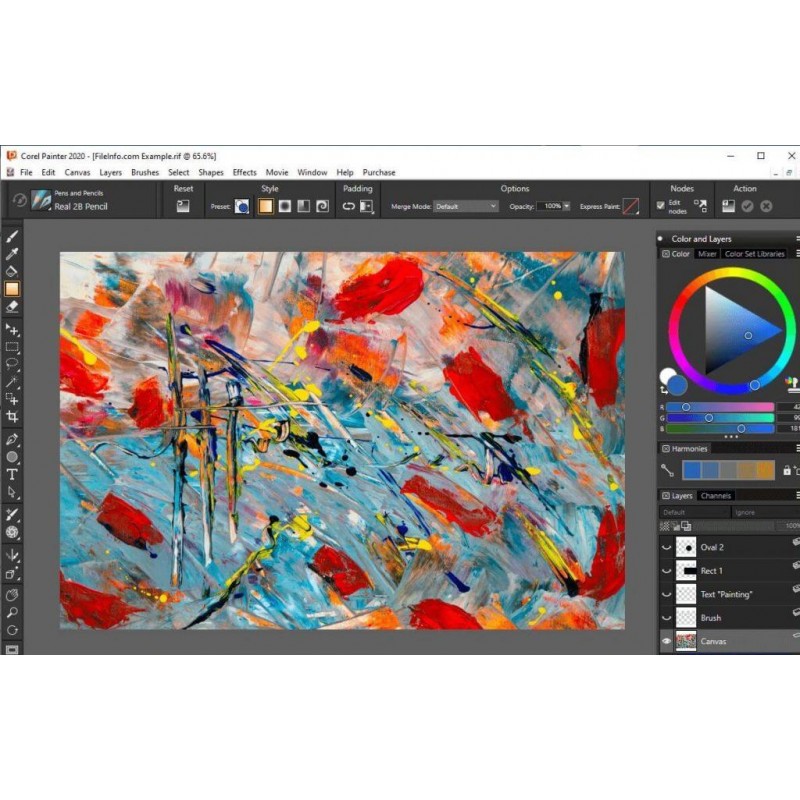 Софтуер Painter 2022 License (Single User), FS-SOFT-PAINTER-1